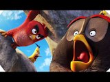 ANGRY BIRDS - 