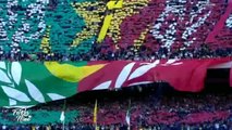 MCA x USMA Tifo - تيفو مباراة مولودية الجزائر و اتحاد الجزائر 2016-17