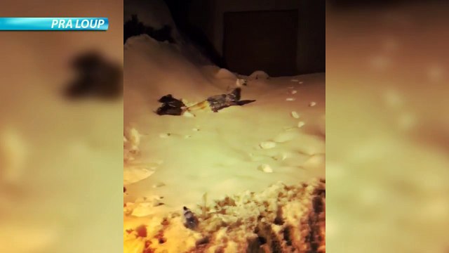 Alpes du Sud : tour d'horizon des chutes de neige dans les stations