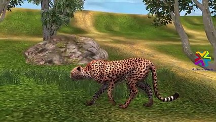 Finger Family Nursery Rhymes Cheetah Cartoons for Kids | Finger Family Children Nursery Rhymes