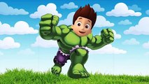 #PawPatrol Avengers Ryder as The Incredible Hulk| Superheroes Kids SMASH #Animation