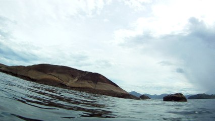 Apneia, navegando, Mergulhando nas profundezas, vida submarina, Ubatuba, Natureza Sub, aos mares com carinho, (3)