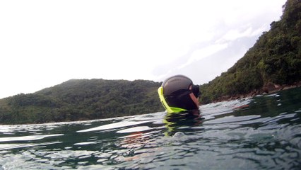 Apneia, navegando, Mergulhando nas profundezas, vida submarina, Ubatuba, Natureza Sub, aos mares com carinho, (15)