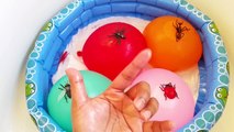 Finger Family Insects Water Wet Balloons Learn Colors Nursery Rhymes Songs for Babies EggV