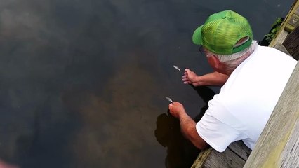Increíble! Este hombre pesca con la mano