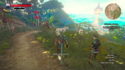 The Witcher 3: Wild Hunt – Complete Edition_20170304144626