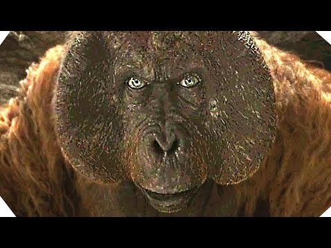 Vidéo 360° - Mowgli dans le temple des singes- LE LIVRE DE LA JUNGLE