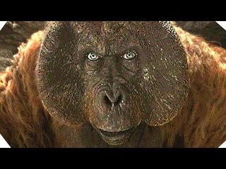 Vidéo 360° - Mowgli dans le temple des singes- LE LIVRE DE LA JUNGLE