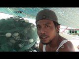 Serangan Ubur Ubur, Hasil Tangkapan Nelayan Menurun Drastis - NET24