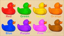 Изучение цветов для детей со страницы резиновая утка для раскраски : цвета для детей