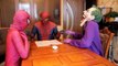 PREGNANT FROZEN ELSA vs SPIDERMAN - SPIDERBABY QUINTUPLETS w/ Pink Spidergirl Twins Funny