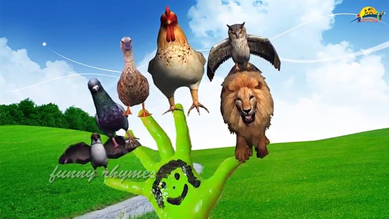Finger Family ANGRY BIRDS - iBIRD Nursery Rhymes for Children 3D Animation
