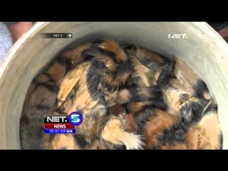 Polda Riau Kembali Tangkap Para Penjual Kulit Harimau di Pekanbaru - NET5