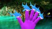 Ataque de tiburón Escenas Nuevas de Animación en 3D de dibujos animados de la Película de Tiburones Vs Dinosaurios Verdadera Lucha Épica Batt