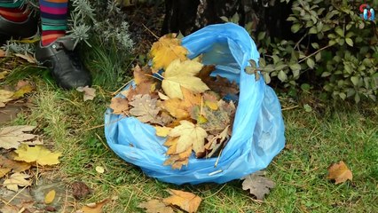 Halloween superhero #2 -Spiderman Frozen Elsa Prank Halloween - Superheroin real life