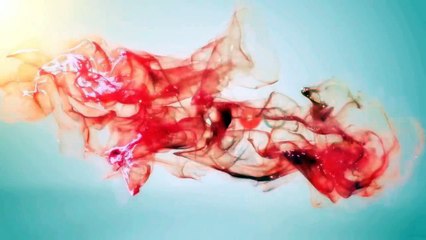 Paspasla Savaşan Küçük Tatlı Köpek