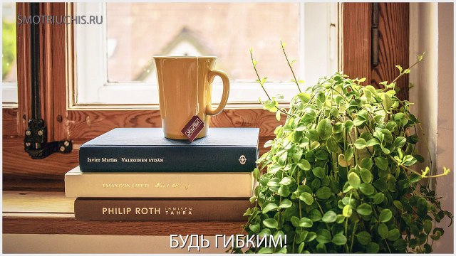 Заработать. Научить. Смотри и учись. Дистанционное обучение.