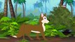 cartoon Fox Without Its Tail - Aesop's Fables - Animated Cartoon