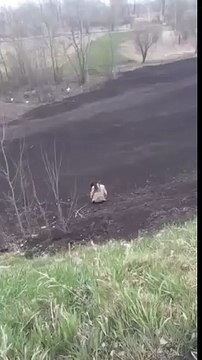 Всем смотреть! Ты там не обосралась