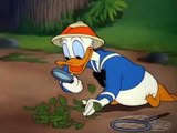 Donald Duck Chip and Dale - Donald Duck Cartoons Full Epis