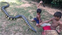 Wow! Two Boys Catch Big Water Snake In Jungle - Catch Big Water Snake With Hand