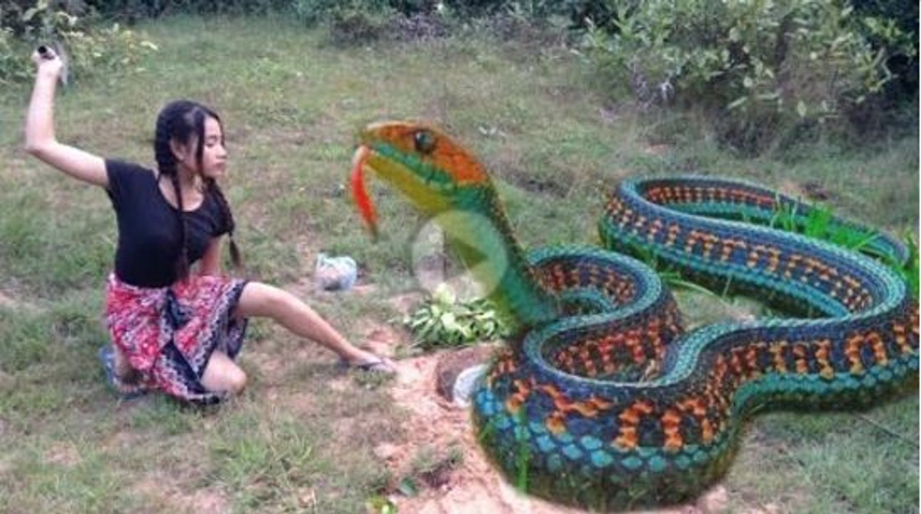 Incredible Girl Catch Snake Using Barrel and deep hole - How to catch water Snake In Cambodia #17