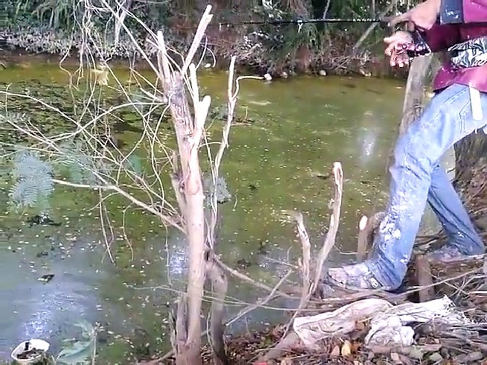 Amazing Fishing Fails In The World 1