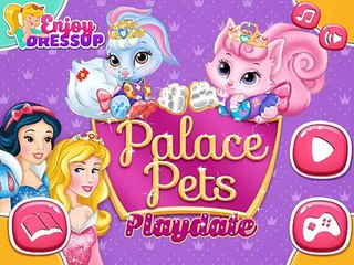 Whisker Haven Tales with the Palace Pets | Season 1: Episodes 1 – 10 | Disney