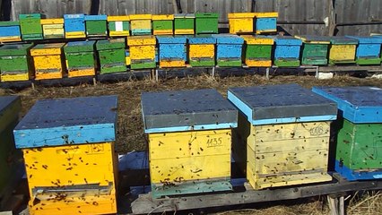 zbor de curatire  22.02.2017.