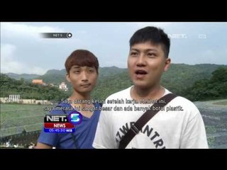 Botol Plastik Disulap Menjadi Lukisan Mengagumkan - NET5