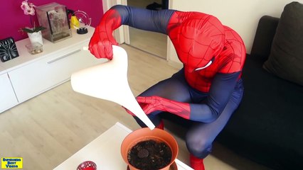 PREGNANT FROZEN ELSA eats BIG CANDY - Superhero in real life