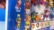 PAW PATROL LIMITED EDITION METALLIC SERIES ACTION PACK PUPS CHASE MARSHALL RUBBLE SKYE EVEREST ROCKY