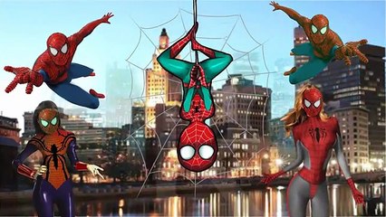 Spiderman Cartoon Finger Family Rhymes Collections ABC Songs Bingo Dog Children Nursery Rh