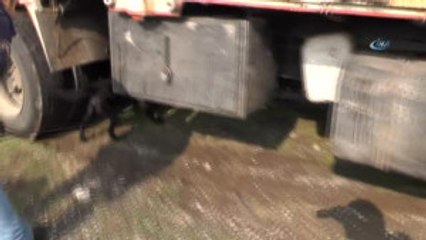 Hayvan Gübresi İçinde Uyuşturucu Sevkiyatı