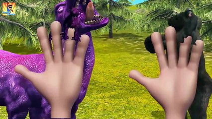 Top Animals Cartoons Finger Family Collection | Animals Finger Family Rhymes for Children