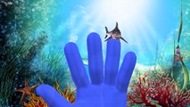 Dinosaurs Vs Sharks Attacks Finger Family Songs | Colors Animals Nursery Rhymes for Childr
