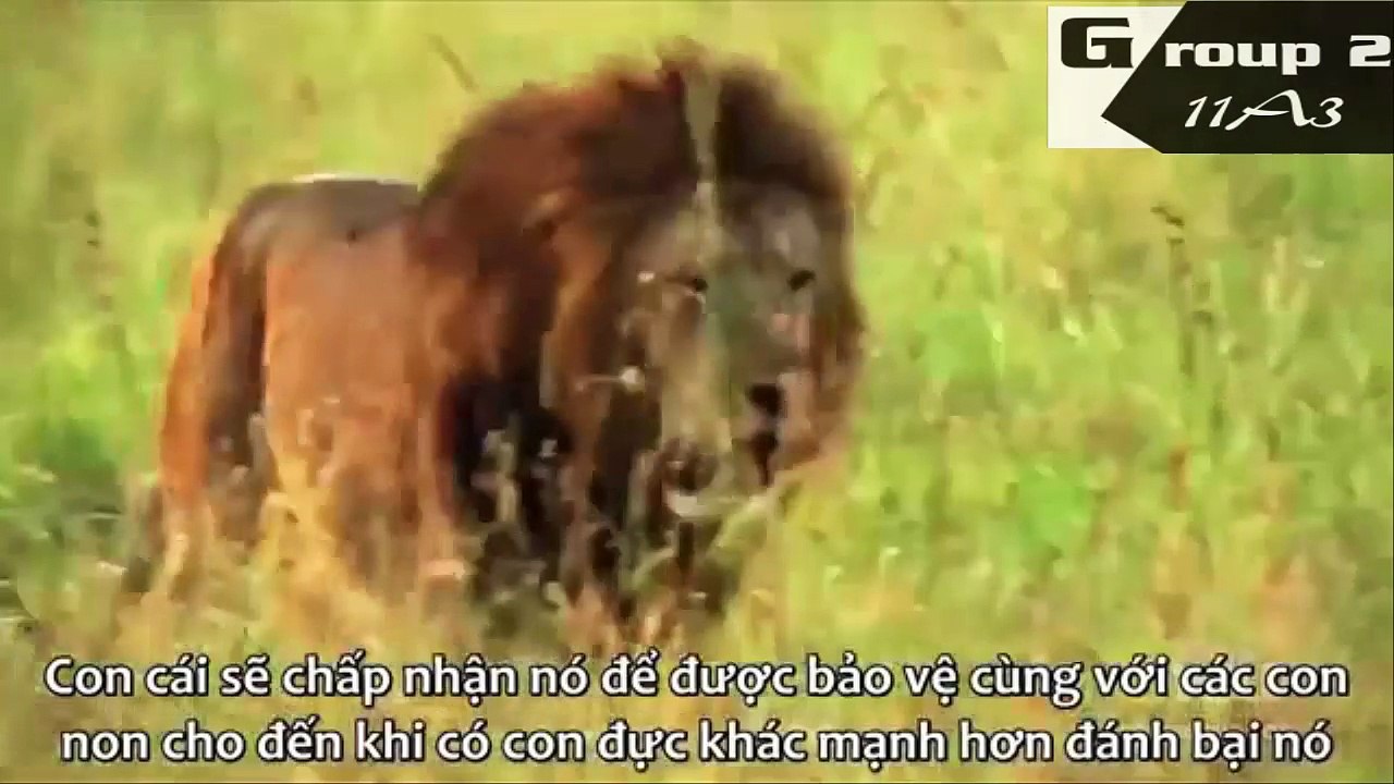 sinh hoc 2