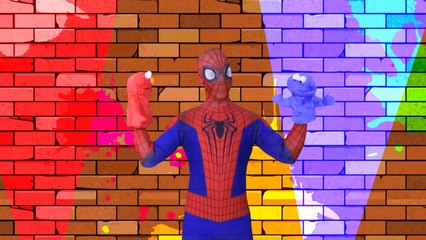 Spiderman and Winnie the Pooh Finger Family - Superheroes Nursery Rhymes Collection - Elza