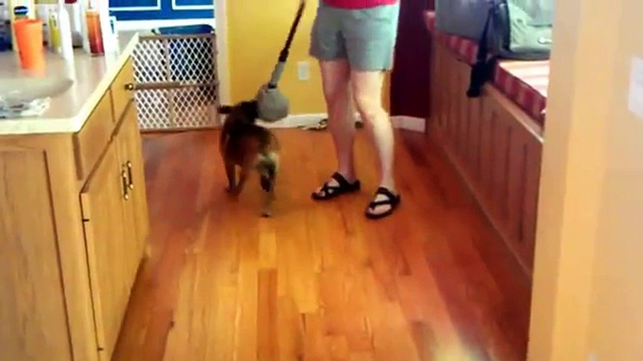 House Cleaning Madison WI