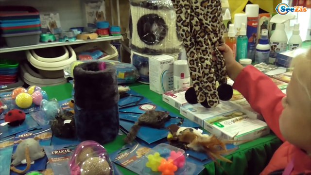 ✔ Выставка Кошечек! Игрушки для маленьких котят / Kitty and Yaroslava. A toy for little kitties ✔