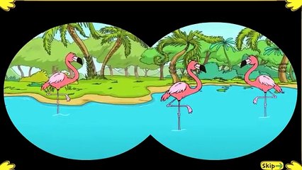 The Cat in the Hat - Boogie Woogie Bird Legs - Games for Kids - HD