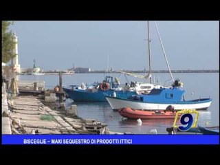 Bisceglie  | Maxi sequestro di prodotti ittici