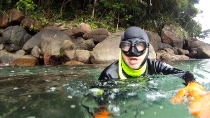 Apneia, navegando, Mergulhando nas profundezas, vida submarina, Ubatuba, Natureza Sub, aos mares com carinho, (25)
