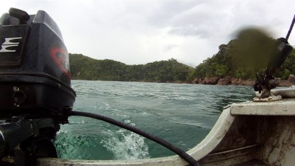Apneia, navegando, Mergulhando nas profundezas, vida submarina, Ubatuba, Natureza Sub, aos mares com carinho, (28)