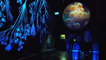 هذا الصباح-متحف للمكيروبات هو الوحيد في العالم