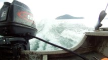 Apneia, navegando, Mergulhando nas profundezas, vida submarina, Ubatuba, Natureza Sub, aos mares com carinho, (30)