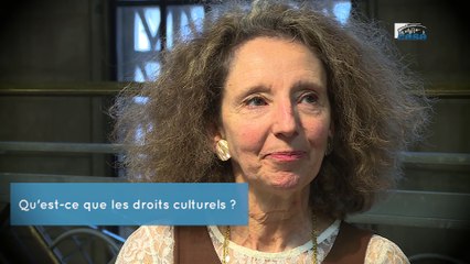 Questions à Sylvie PEBRIER ( Ministère culture et communication) - démocratie culturelle  - cese
