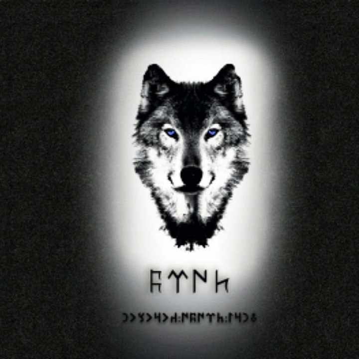 Ne mutlu türk'üm diyene CcC