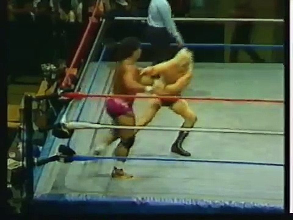 WWF All American Wrestling 72086