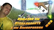 Domando um Pteranodonte e um Dimorphodon - ARK Survival Evolved com Mods #03